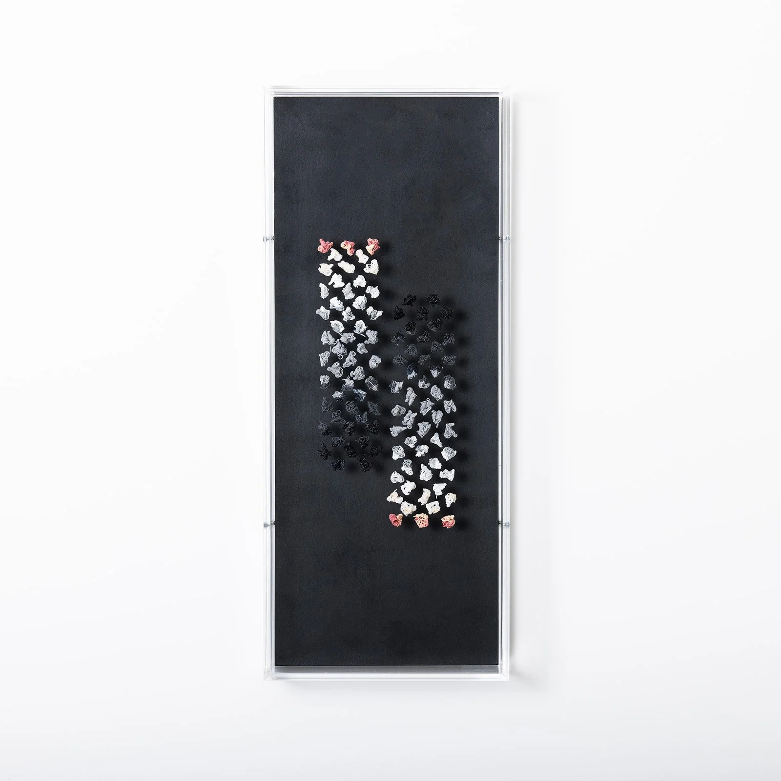 Plaay Studio0907.jpg