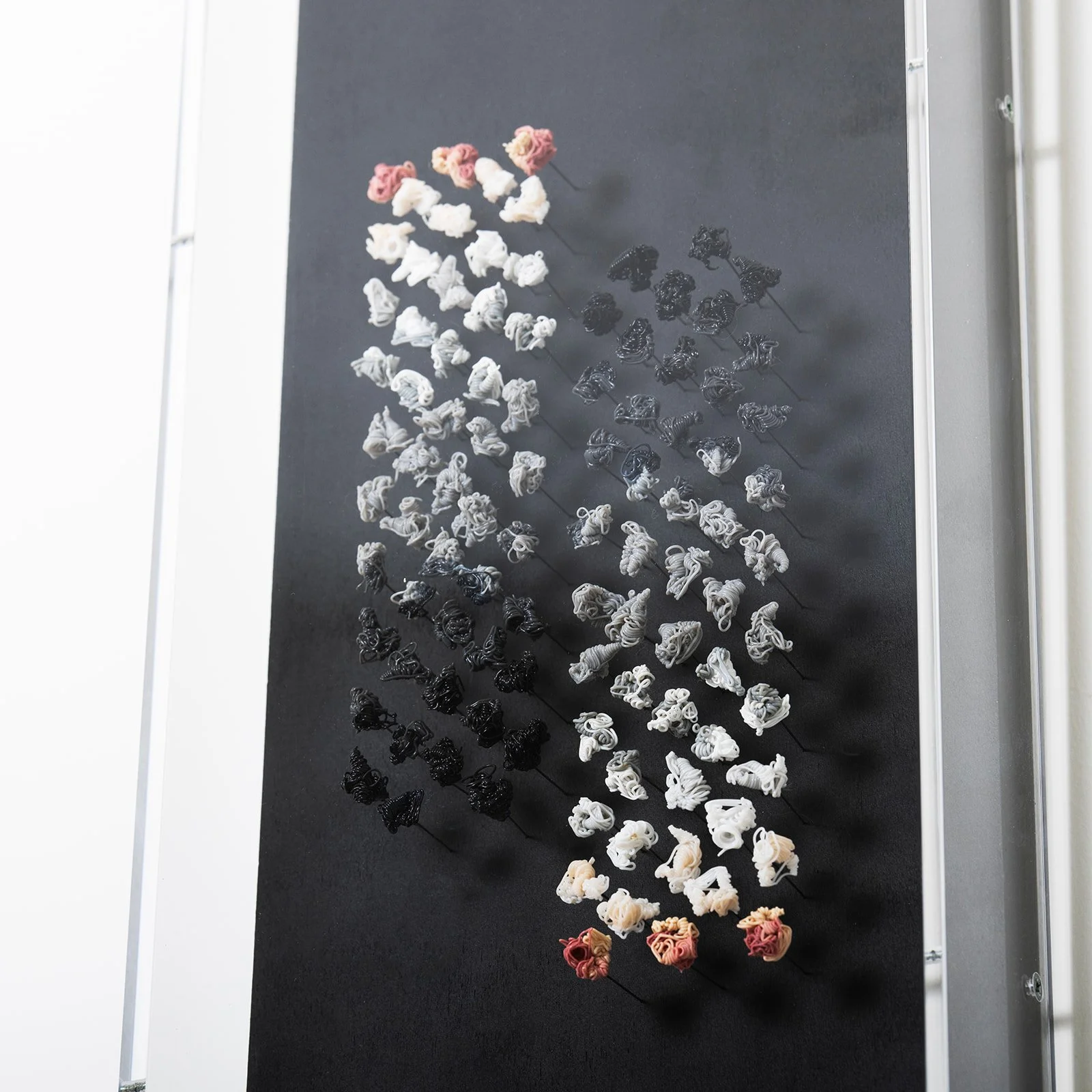 Plaay Studio0933.jpg