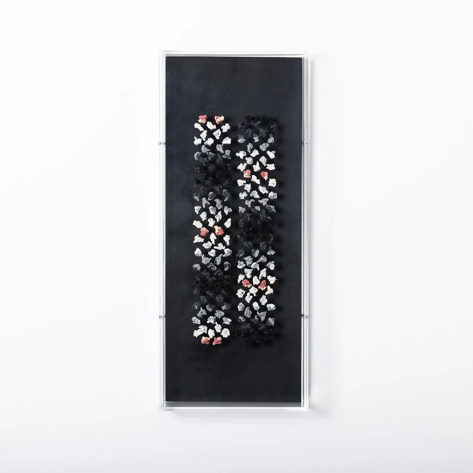 Plaay Studio0905.jpg