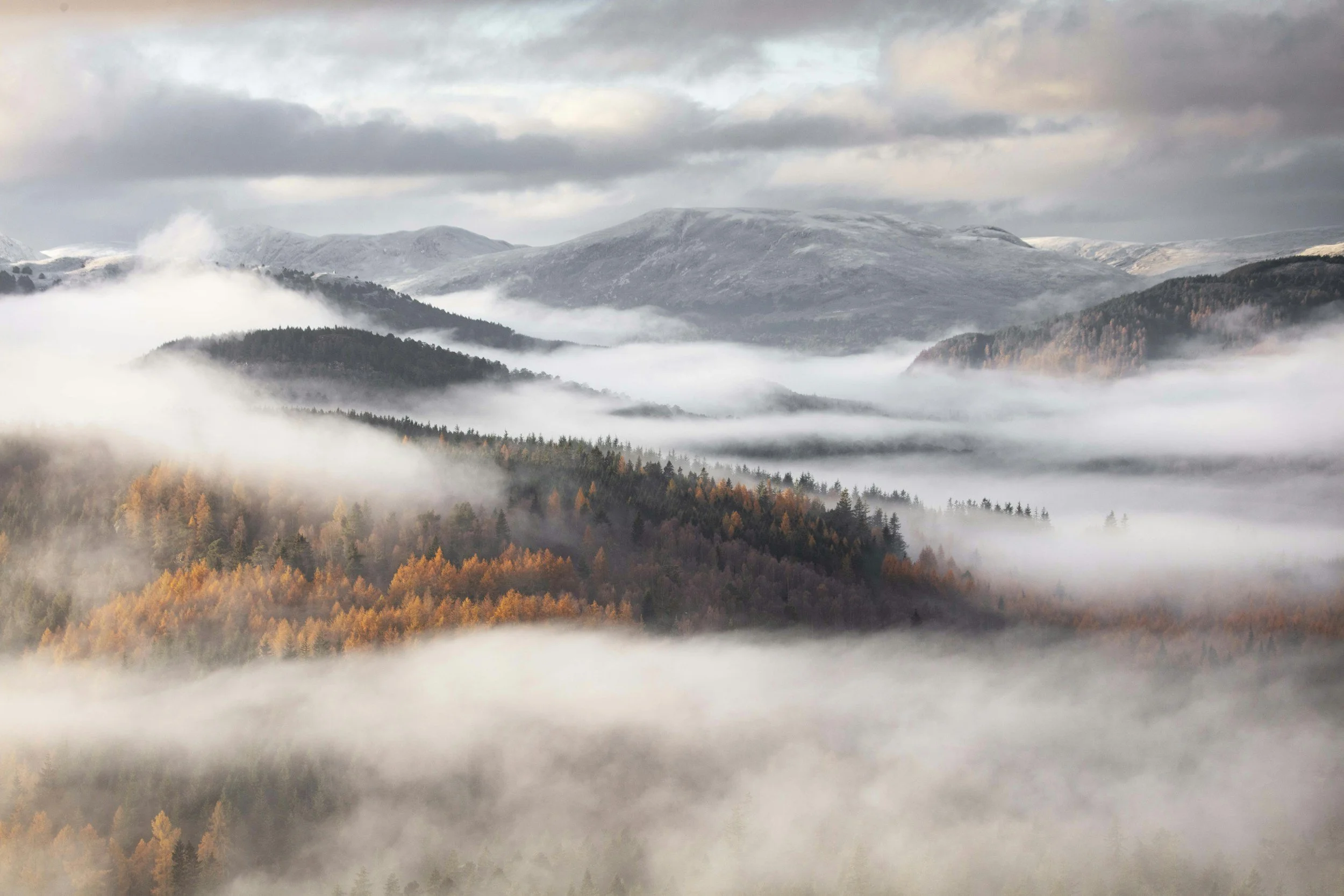 Mountain landscape with fog covering the valleys and forested slopes, and gray clouds above.