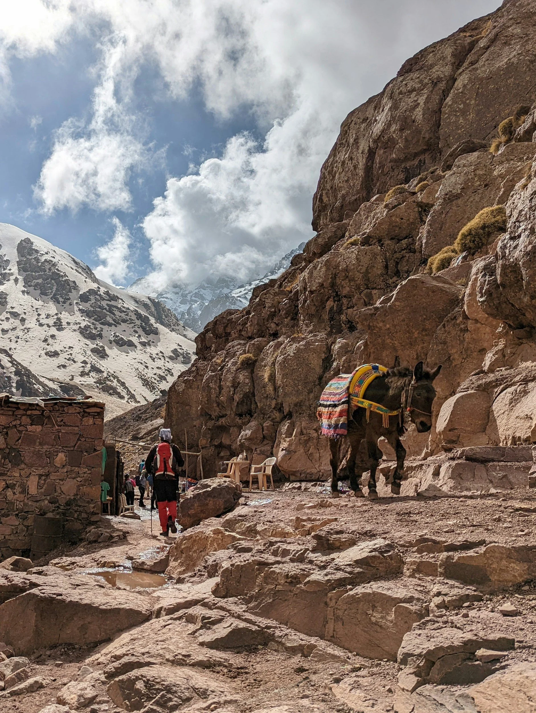 A group of hikers walking on rocky terrain in a mountainous area with snow-capped peaks in the background, a dog wearing a colorful blanket walking beside a person, and a few chairs and structures along the trail.