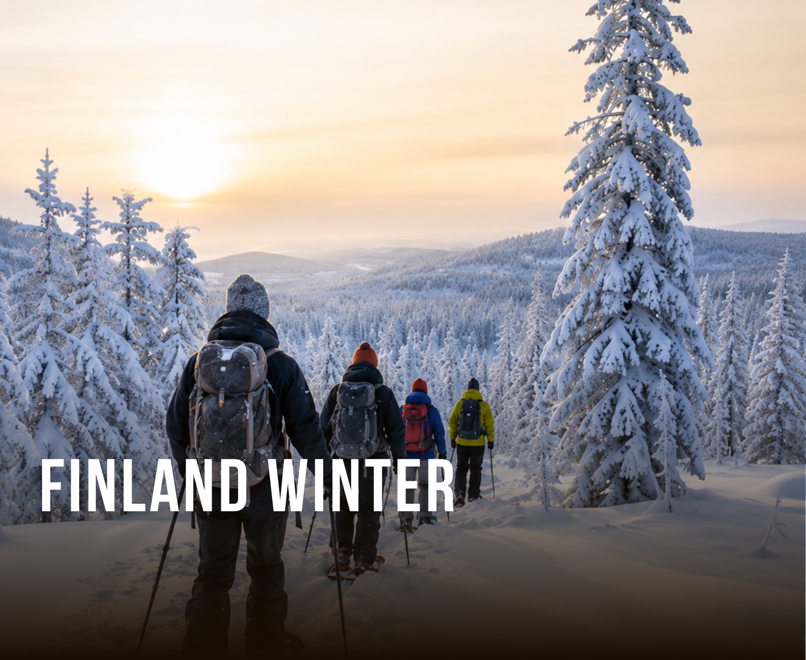 Group of hikers walking through a snowy forest in Finland during winter, with snow-covered trees and a setting sun in the background.