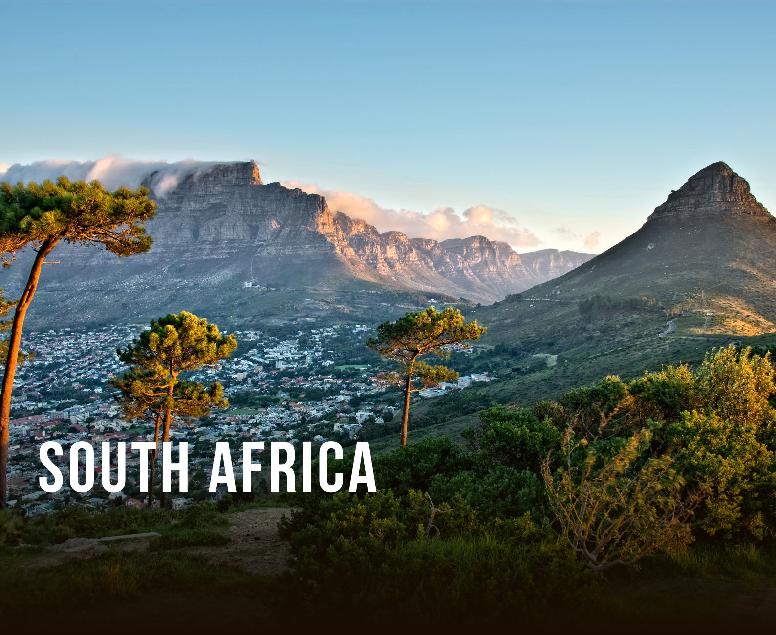 A scenic view of a city at the foot of mountains with a few tall trees in the foreground, likely taken during sunrise or sunset in South Africa.