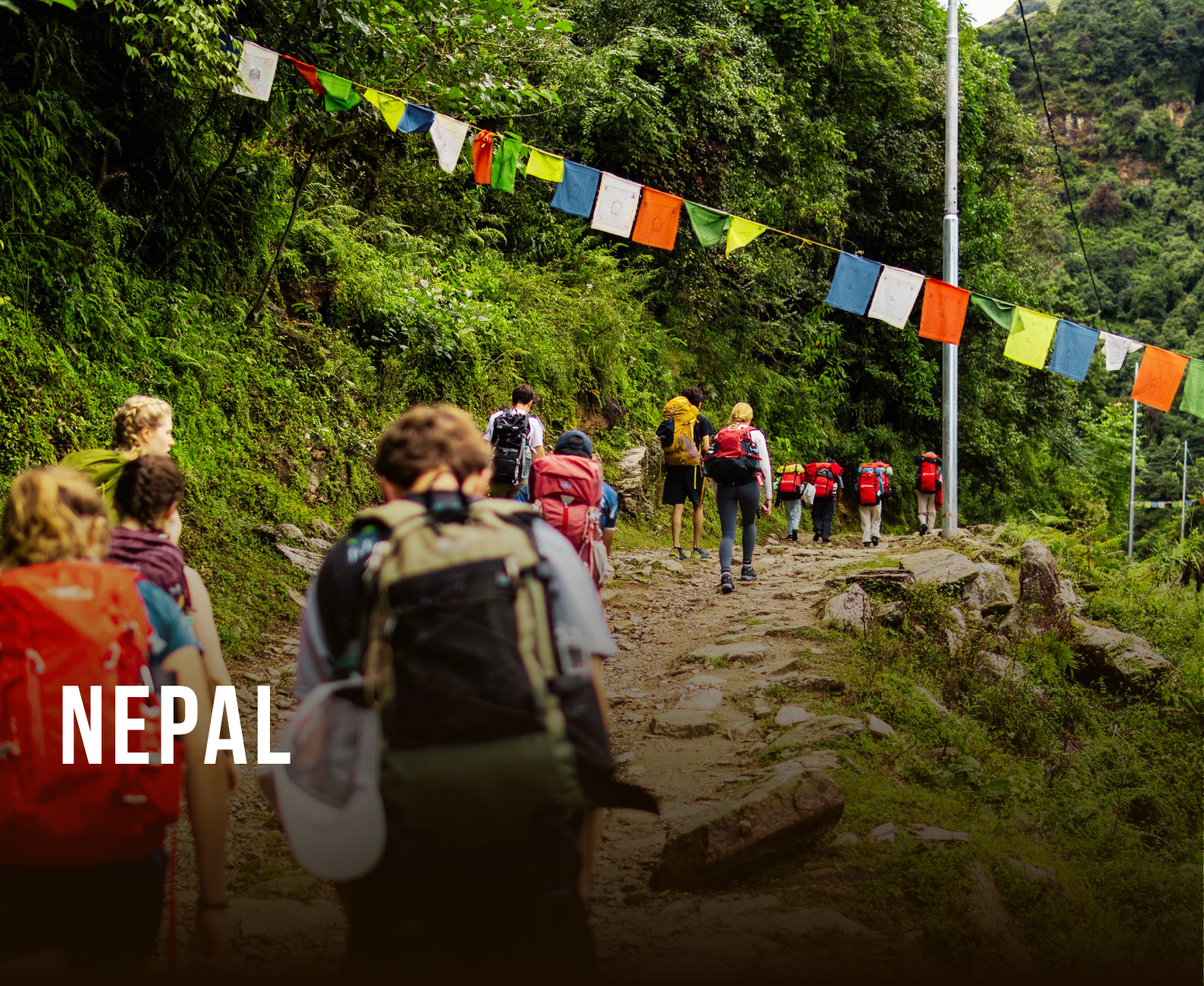 A group of hikers walking along a dirt trail in Nepal, surrounded by lush greenery and mountain terrain. Colorful prayer flags hang above the path.