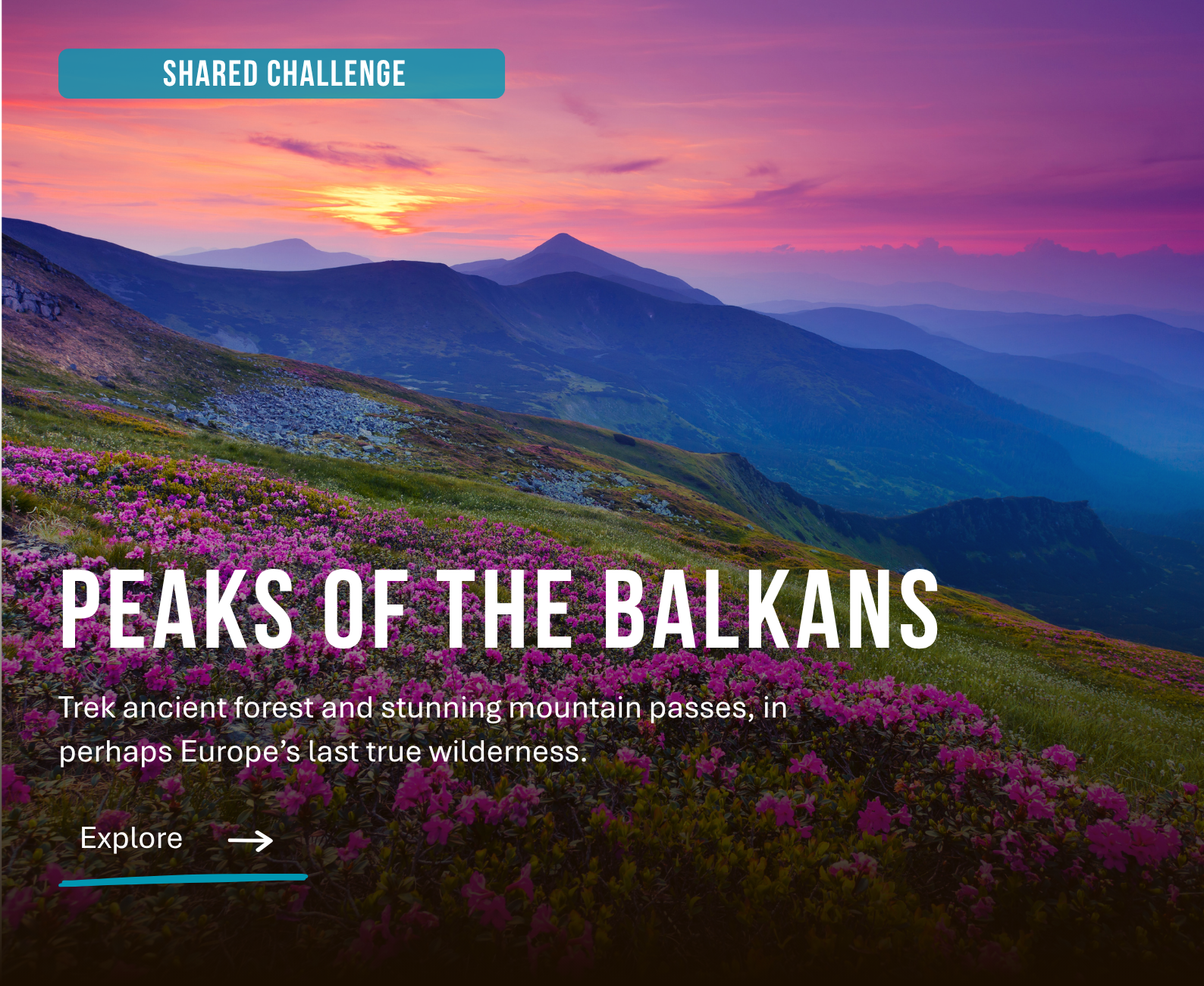 Scenic view of mountains in the Balkan Peninsula at sunset, with purple and pink sky and blooming pink flowers in the foreground.