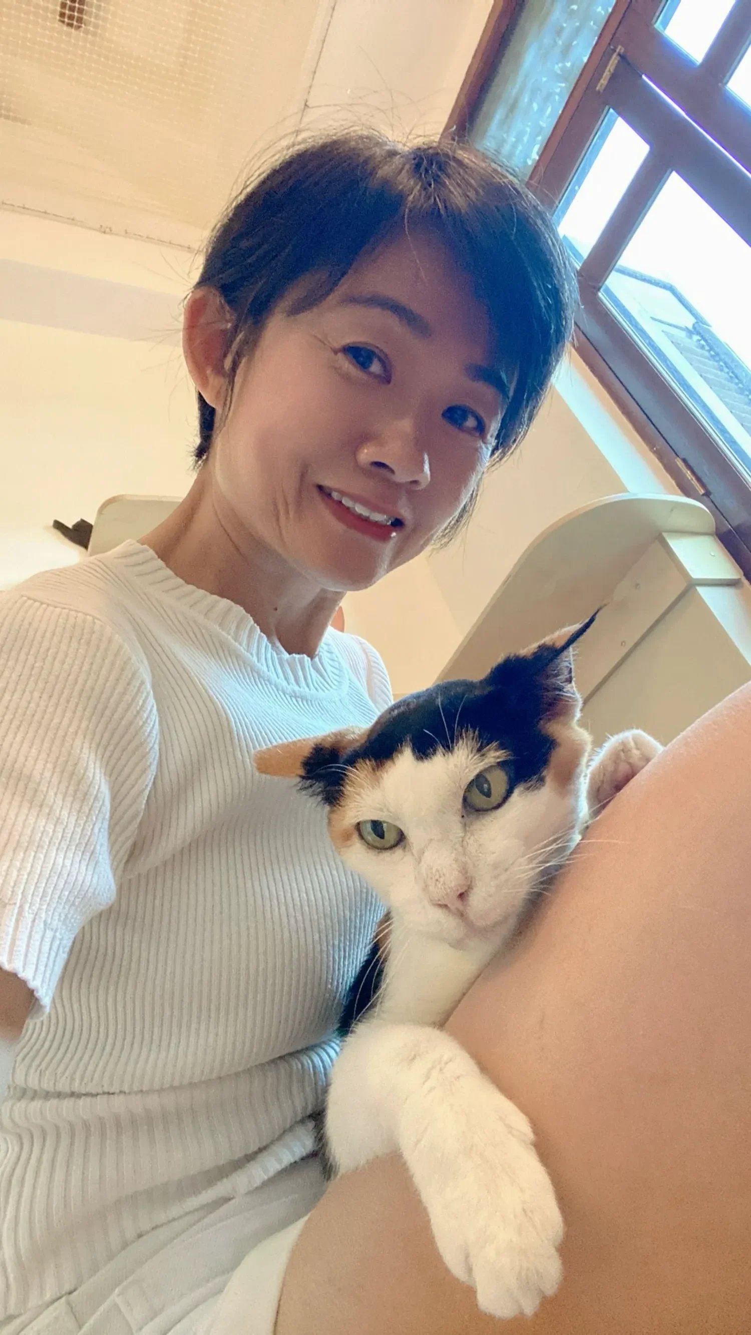 A Shangri-Paw cat concierge at the cat hotel in Singapore