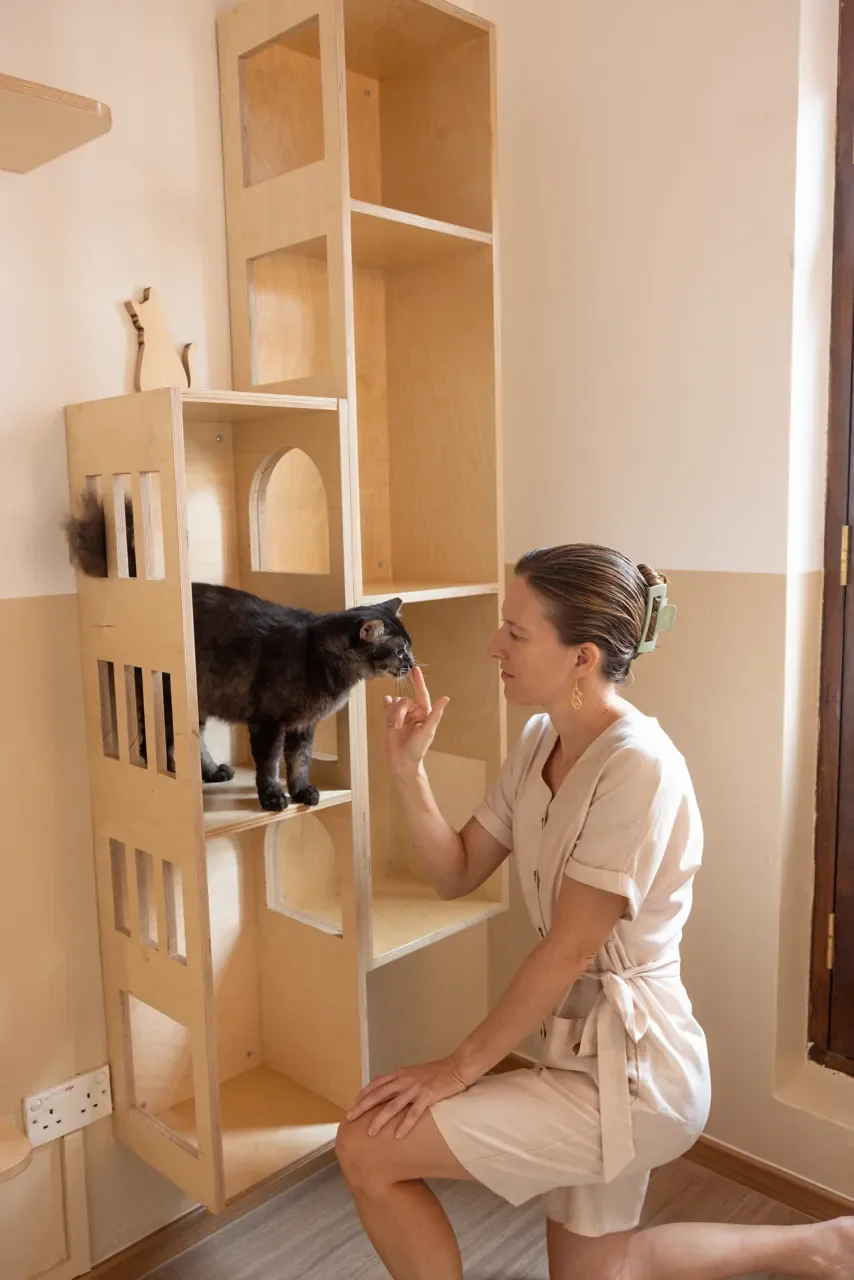 Cat Hotel vs House-Sitting in Singapore: Which Is Right for Your Cat?