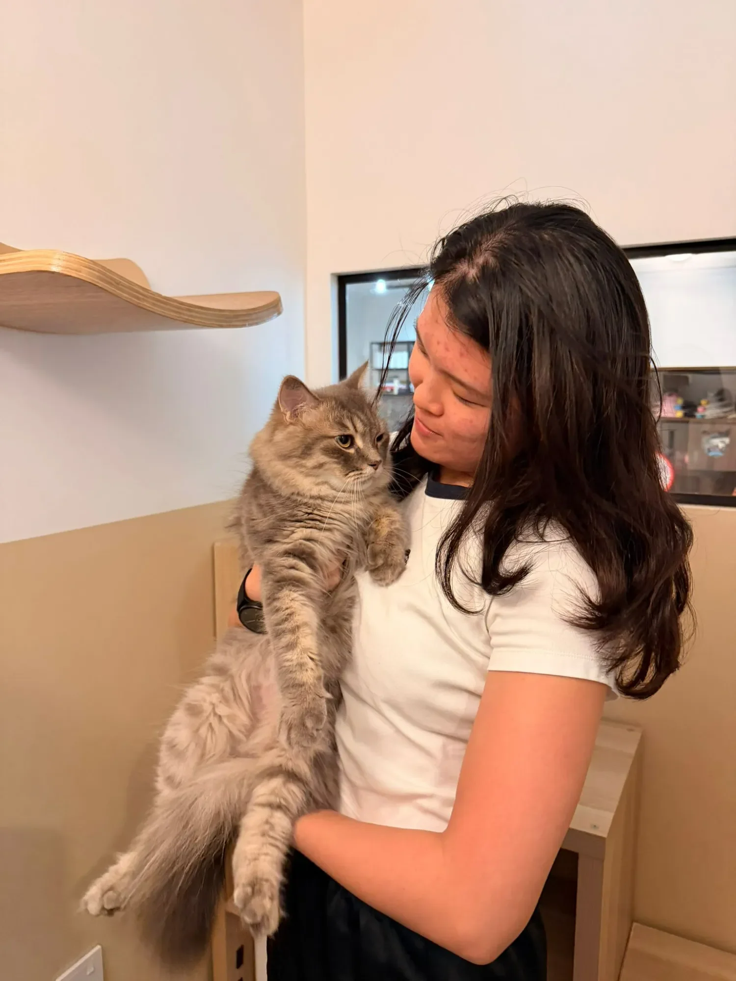 A member of the Shangri-Paw cat care team holding a cat