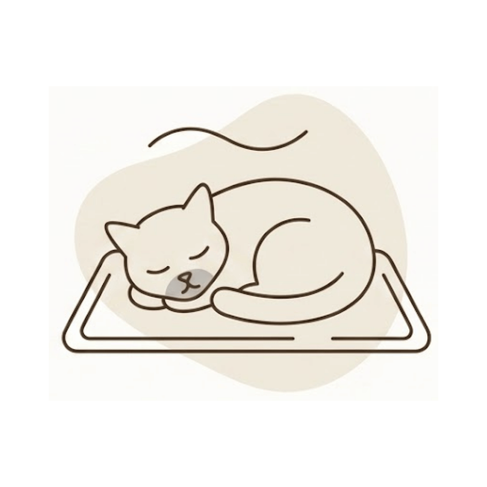Specialist care for senior cats