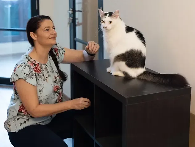 Shangri-Paw Cat Hotel Partner - Primal Connection