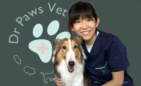 Dr Brenda Poh, Shangripaw cat hotel vet partner