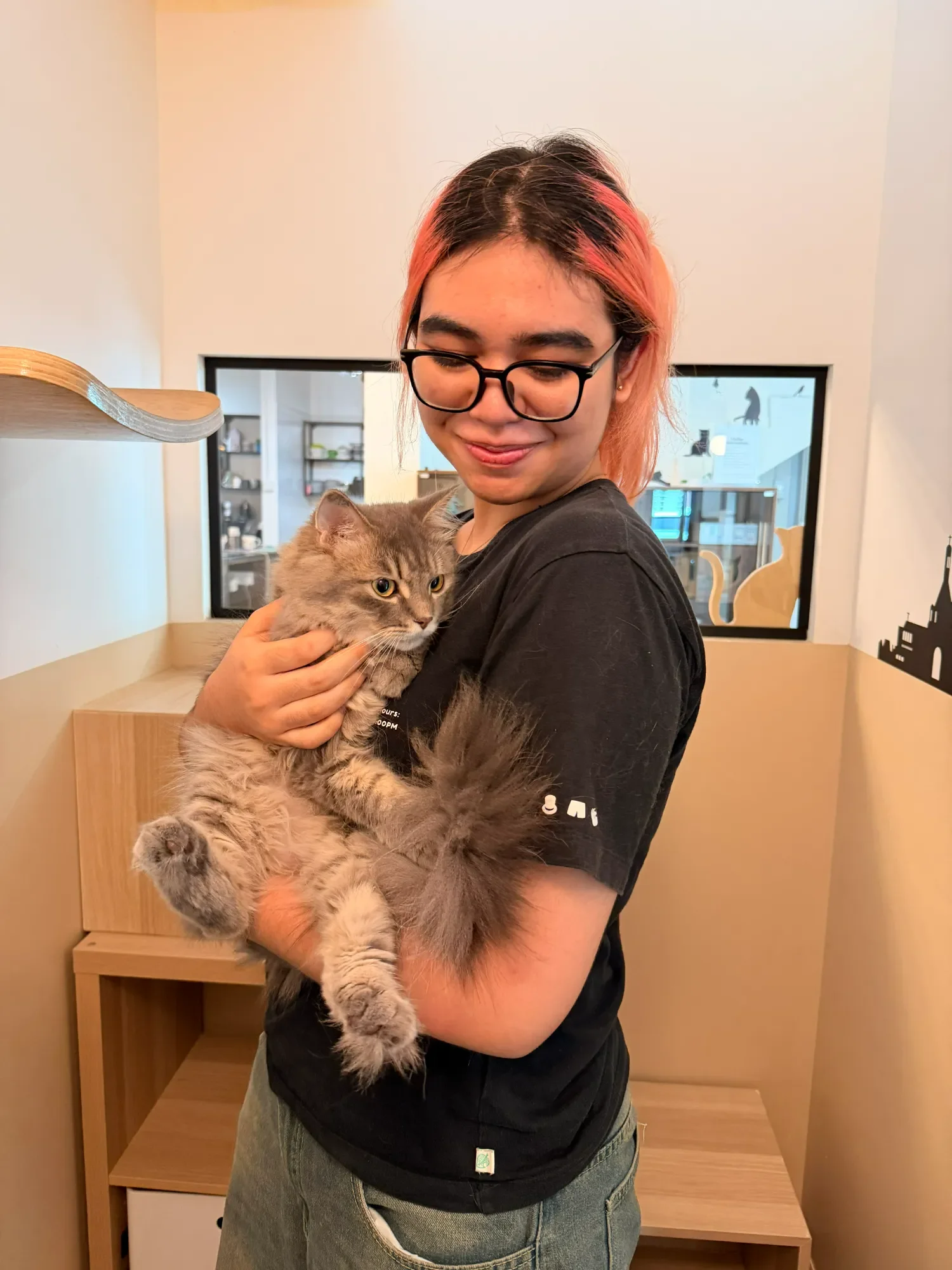 A Shangri-Paw cat concierge in a private boarding room