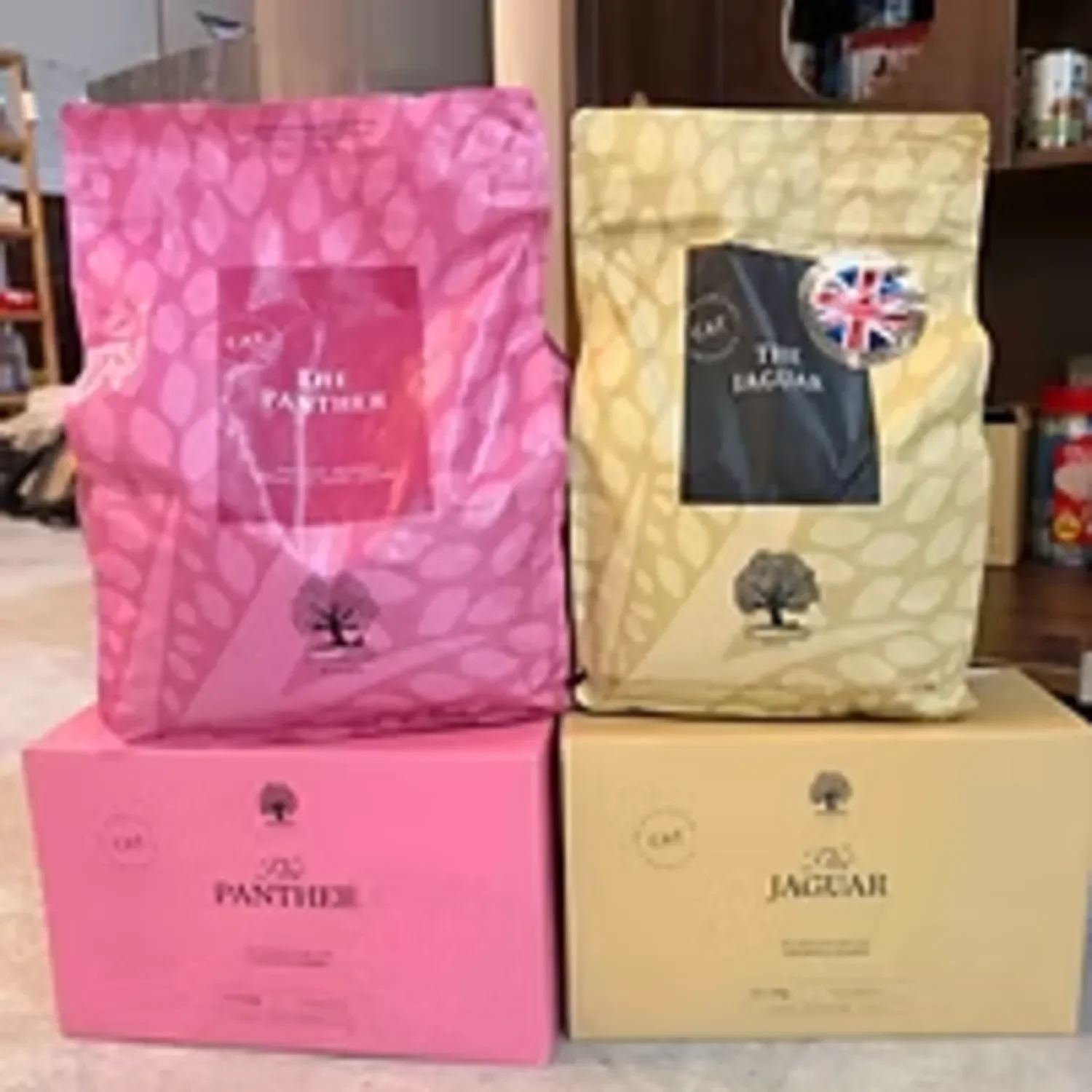 Shangri-paw in house kibble cat food.