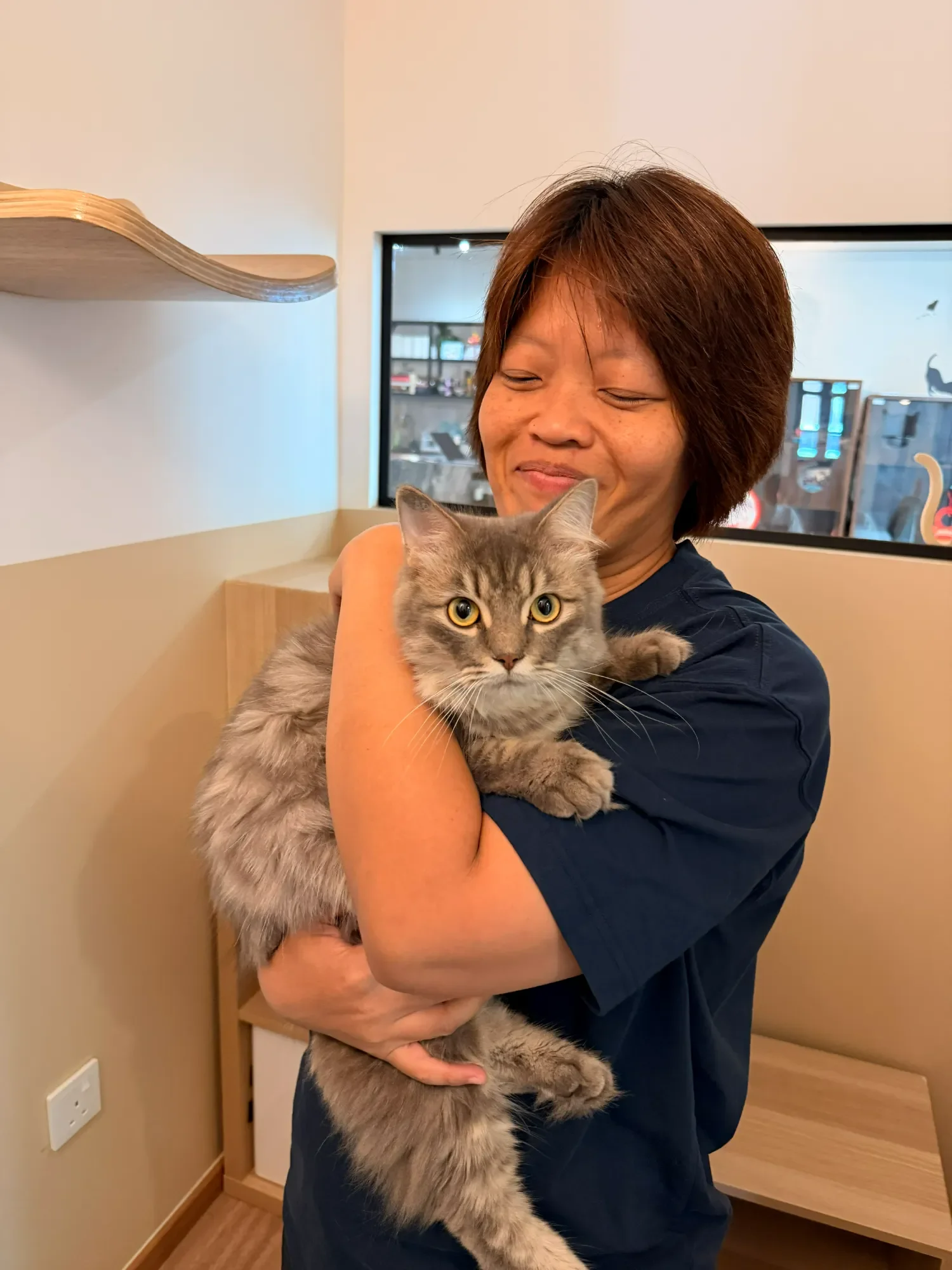 A Shangri-Paw cat concierge settling a guest cat