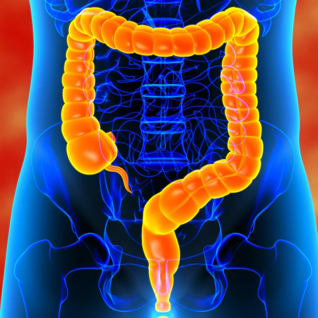 Colon Hydrotherapy