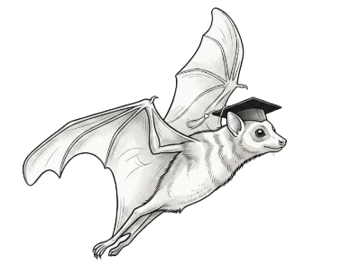 A drawing of a bat with large wings, wearing a graduation cap.