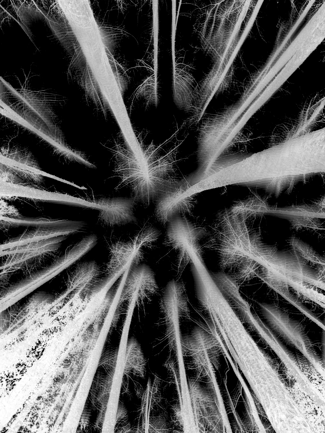 Title: Fading