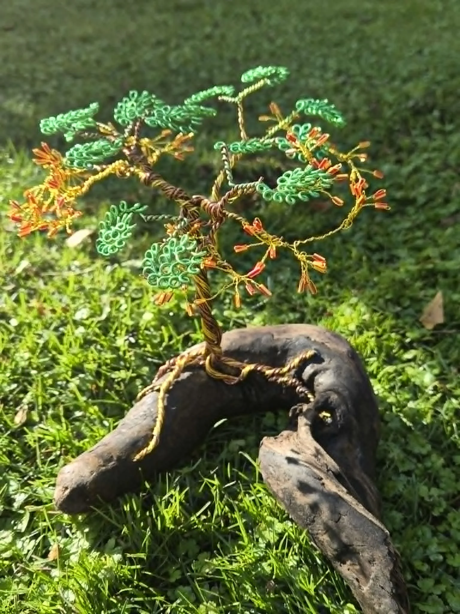 Ruby Fire Wire Tree Sculpture - Driftwood Base