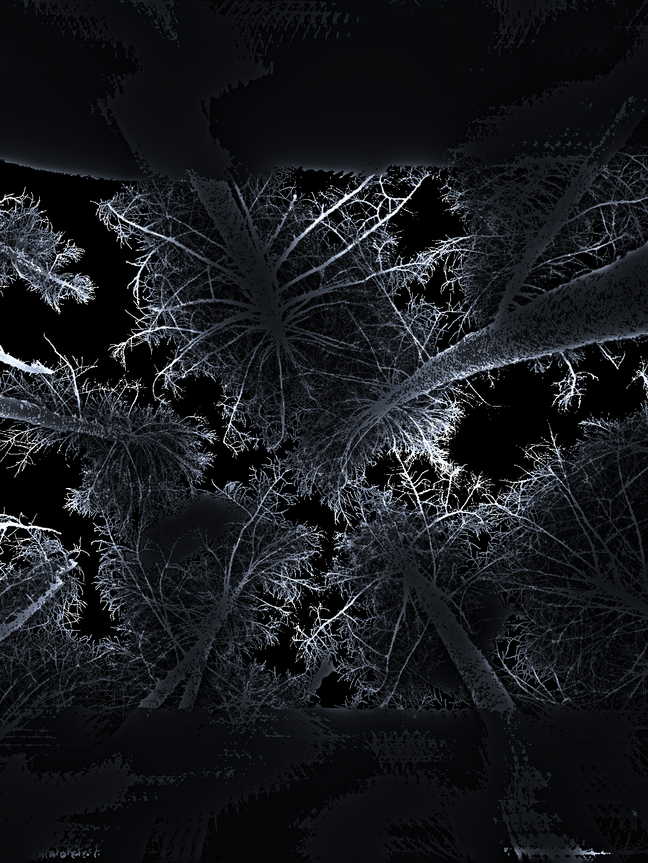 Title: Swallowed