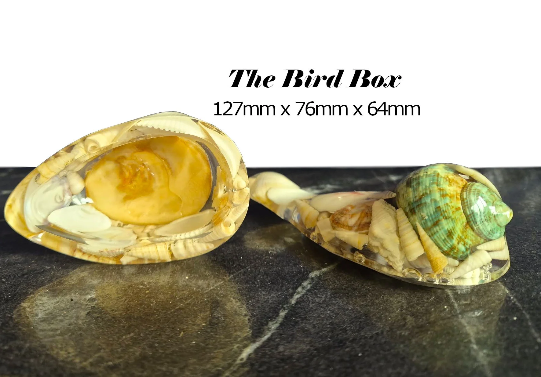 Bird Box - Resin Sculpture