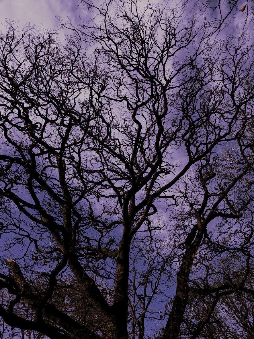 Title: Twisted