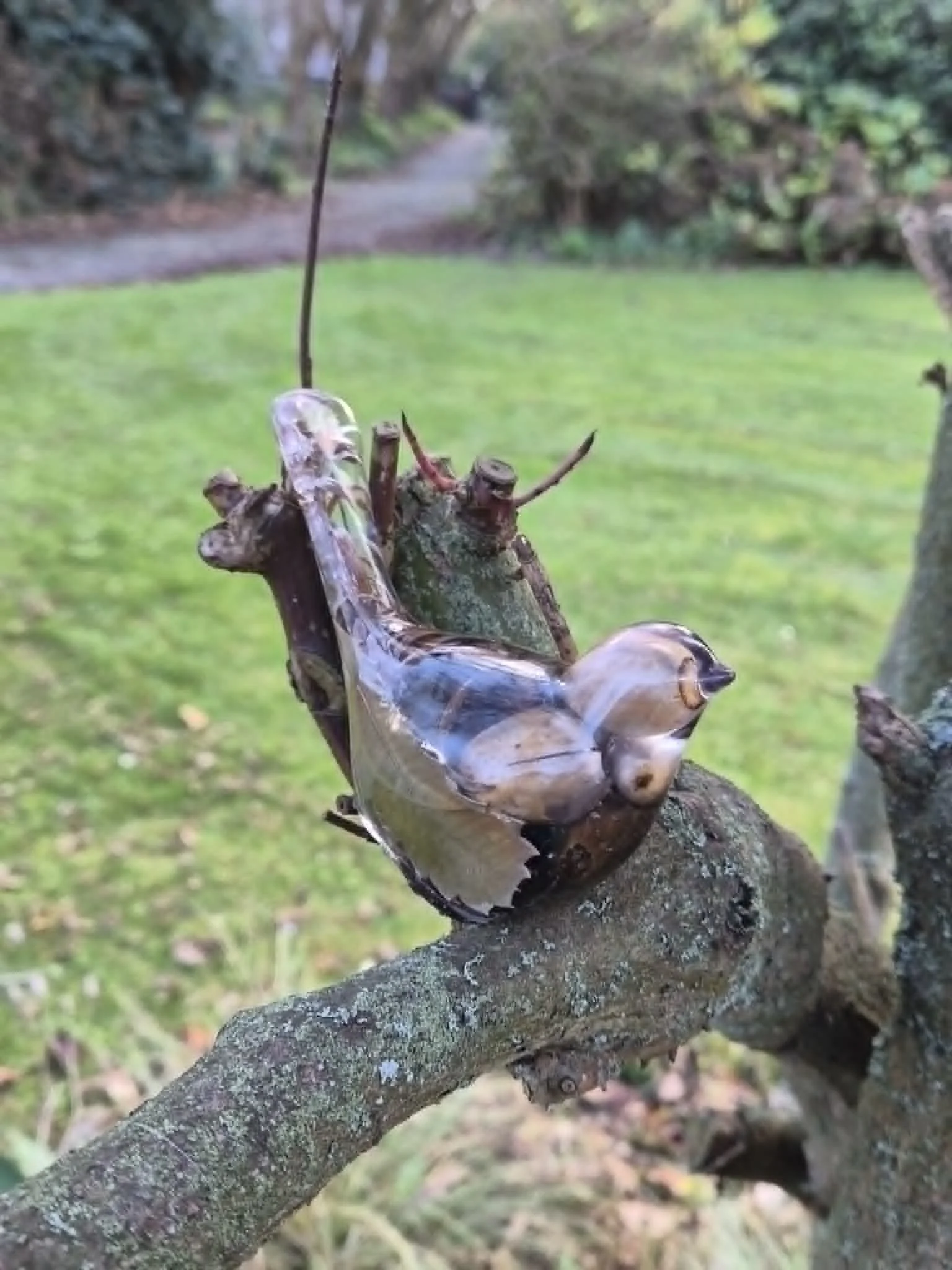 Resin Fantail Sculpture