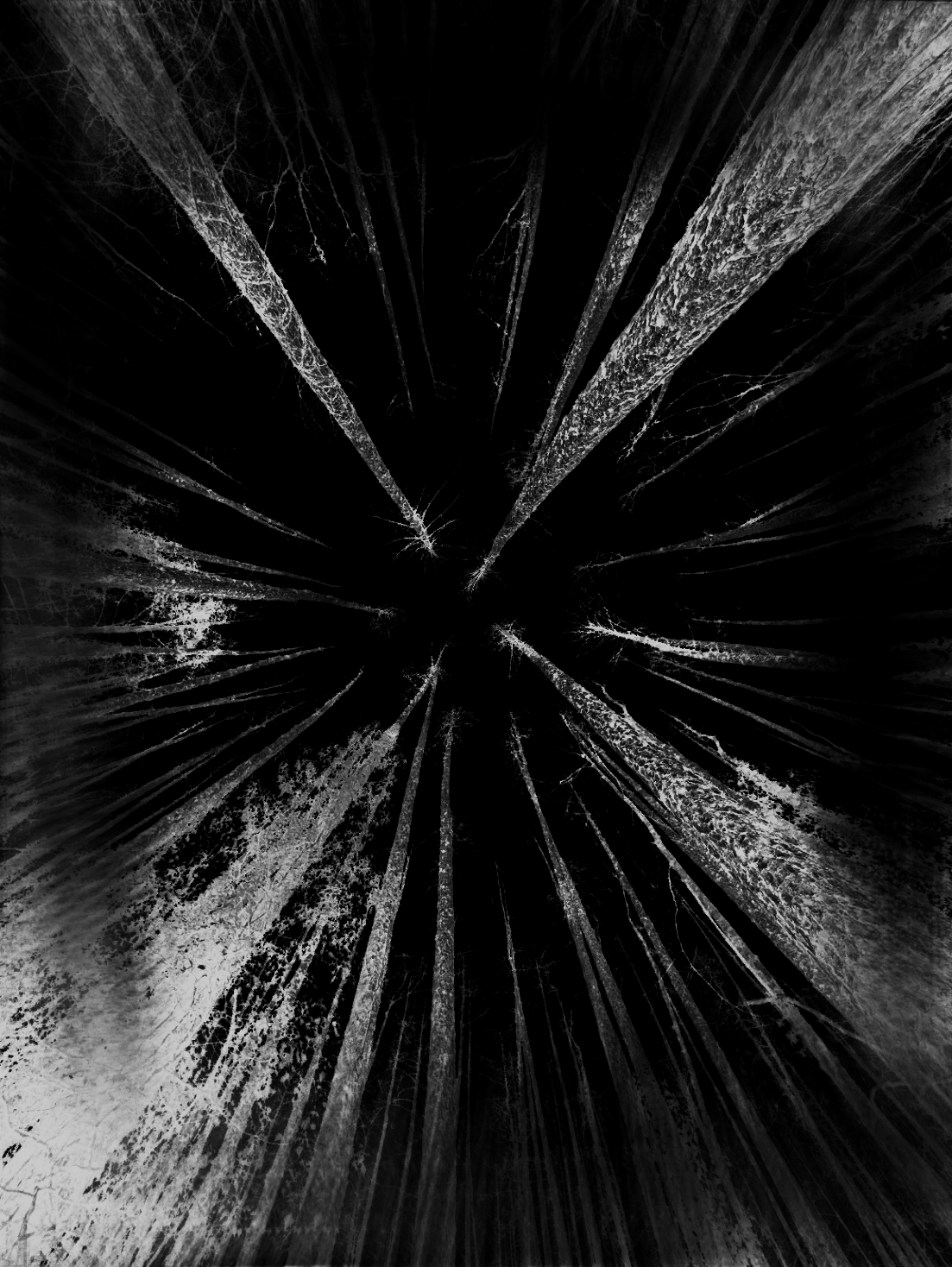 Title: Transportation