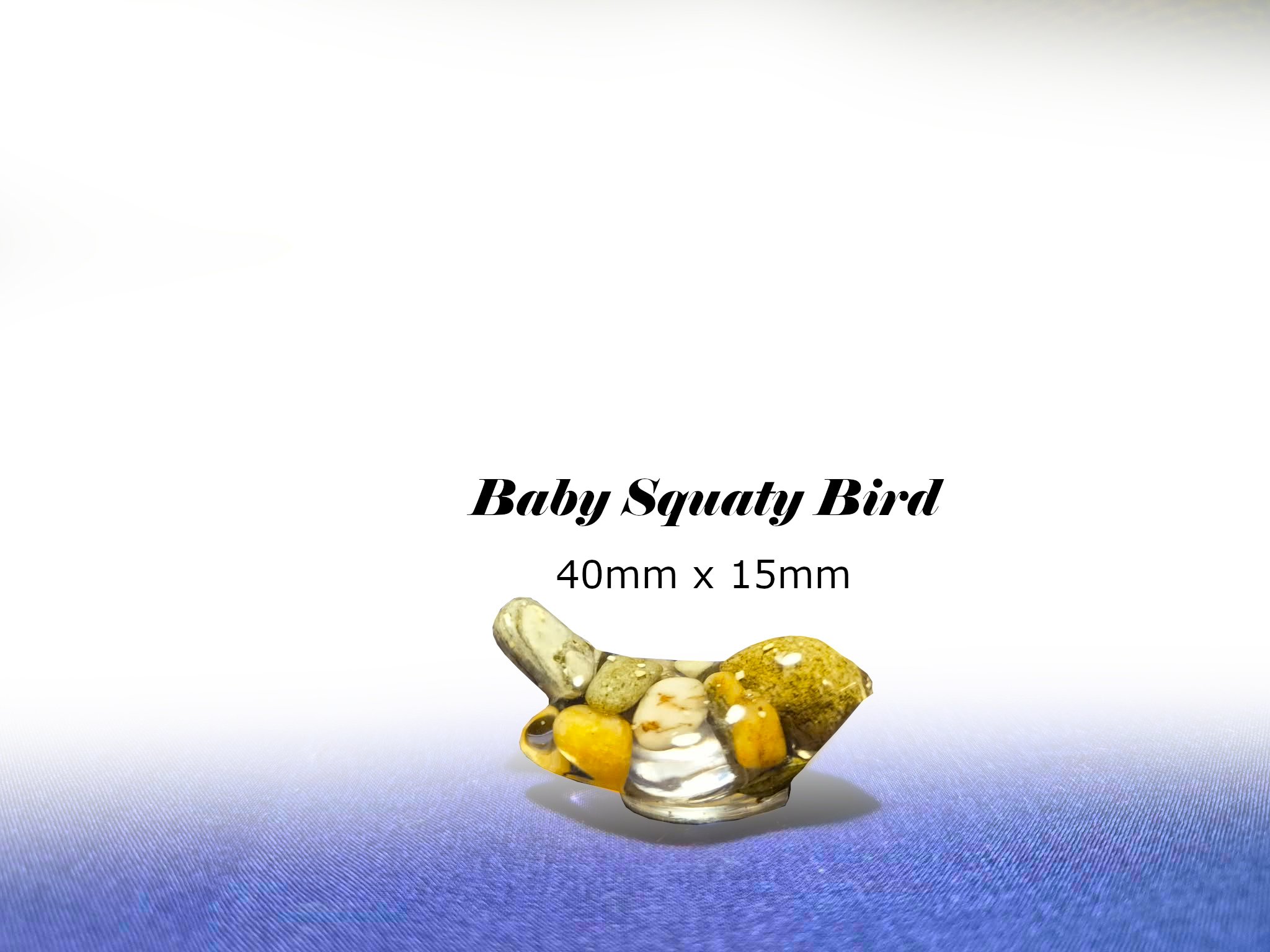 Baby Squaty Bird.jpg