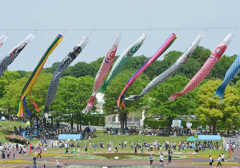 kodomonokuni_img.jpg