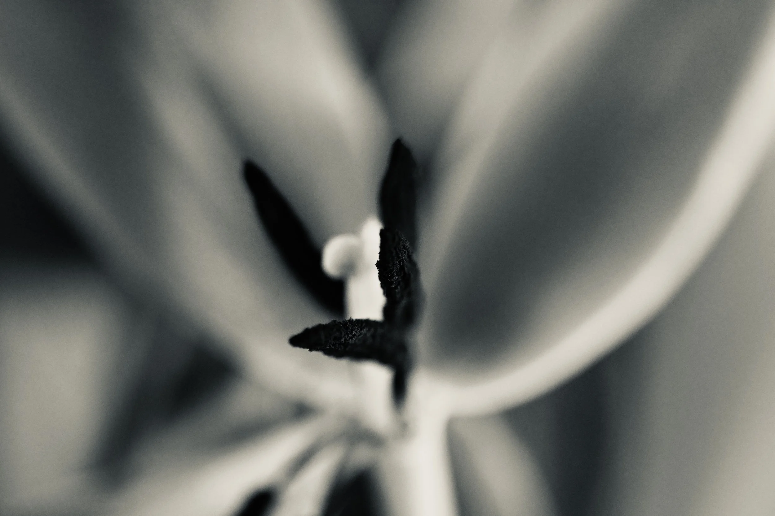 IMG_7524.jpeg