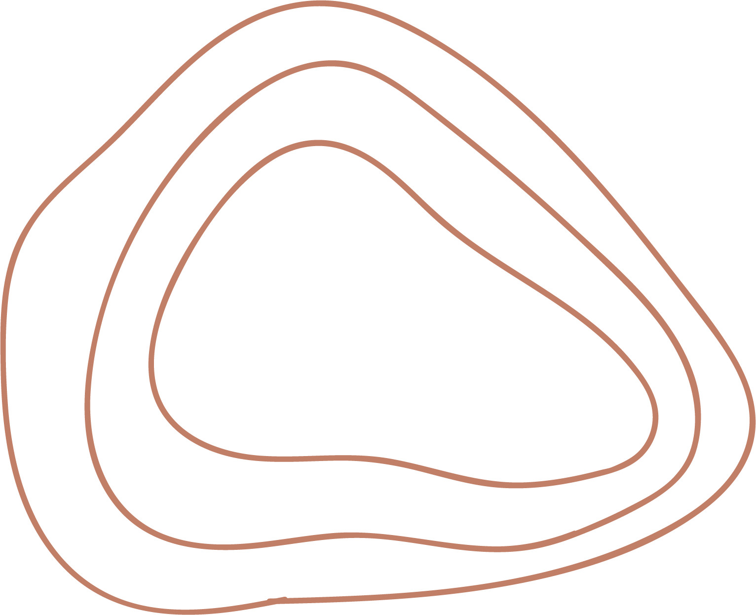 L'image montre des lignes de contour concentriques de couleur marron clair, formant une forme abstraite indéfinie.