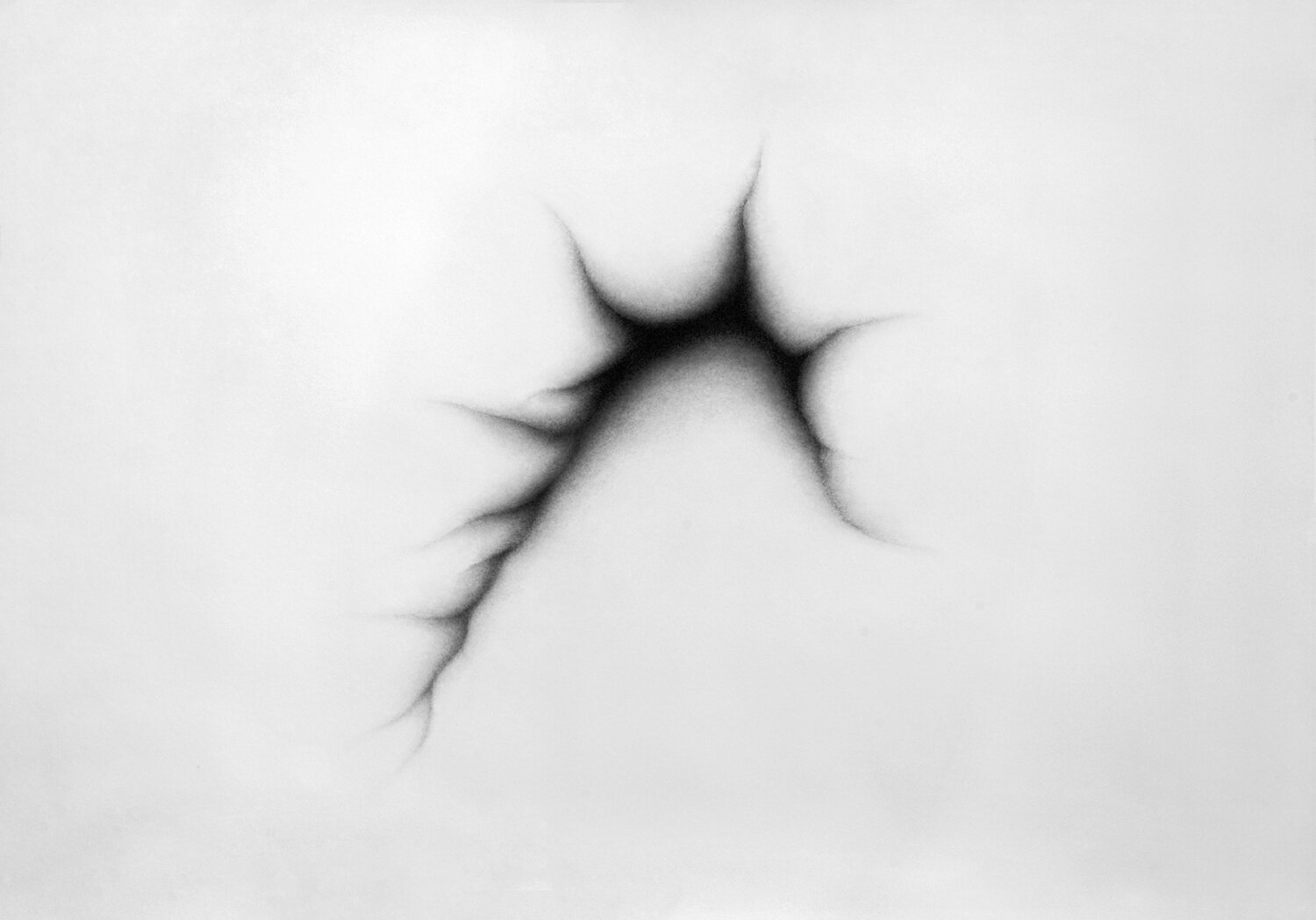 With Without, 2014. Charcoal and pastel on paper, 87,5x125 cm