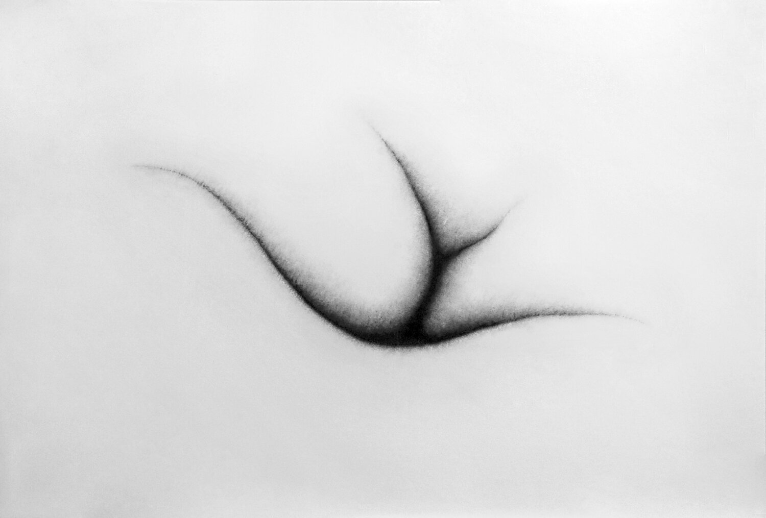 Between 4, 87,5x125 cm (34,5x49,2in.)