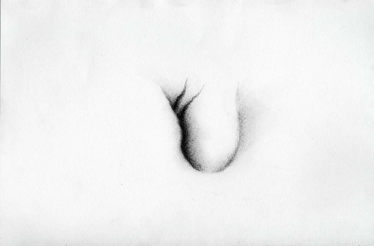 3.KaterinaPapazissi-ThatThatisNot3,2012-14.Charcoal,pastelonpaper,16x24cm.jpg