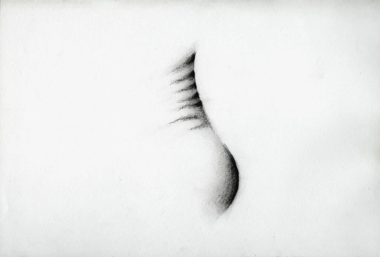 KaterinaPapazissi-ThatThatisNot9,2012-14,16x24cm.jpg
