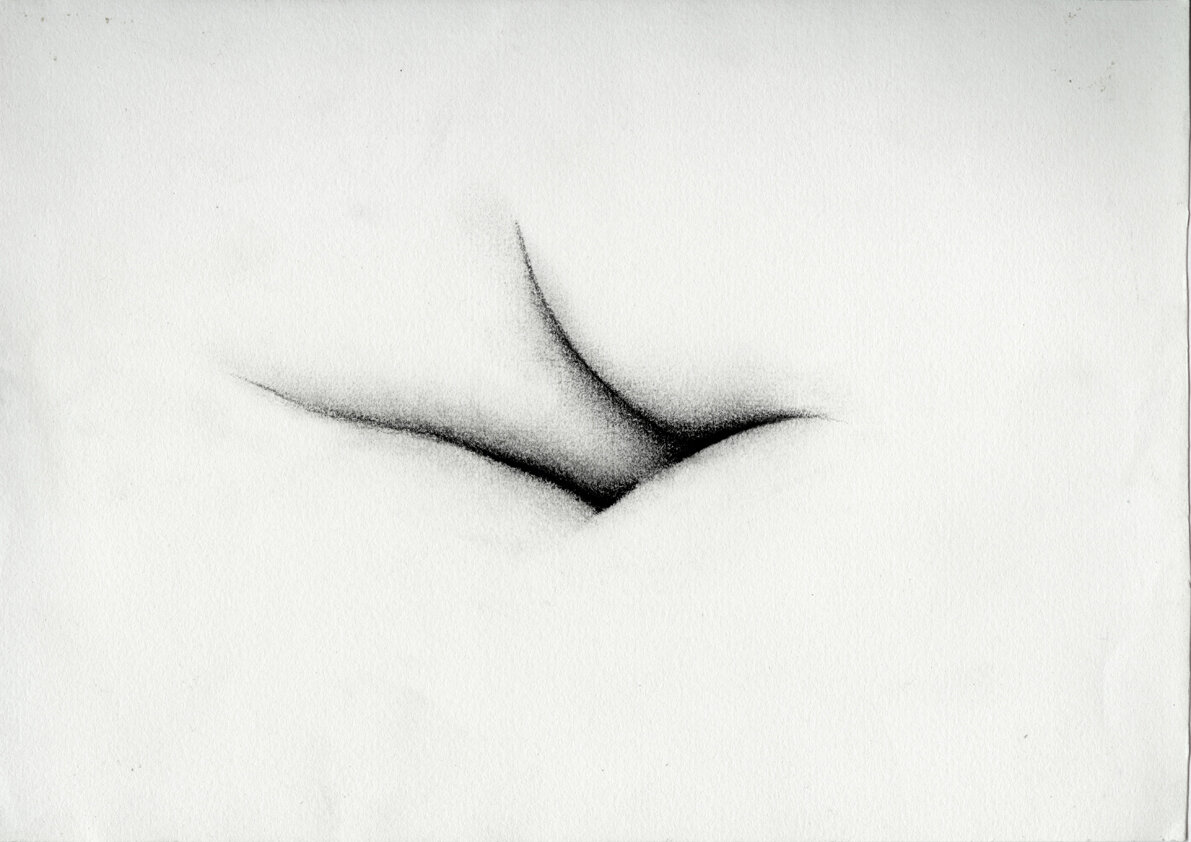 KaterinaPapazissi,ThatThatisNot8,charcoal,pastel16x24cm.jpg