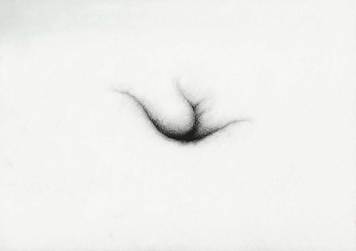 KaterinaPapazissi-ThatThatisNotNo12,2012-14,16x24cm.jpg