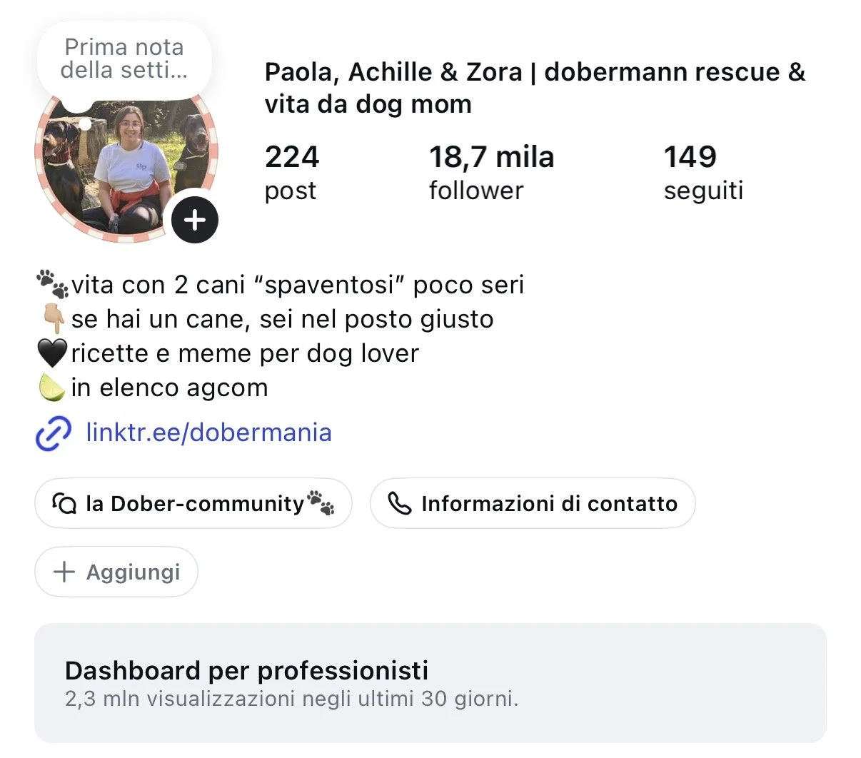 Instagram profile page of a dog rescue enthusiast with a photo of a woman and two dogs, bio about living with two playful dogs, and links.
