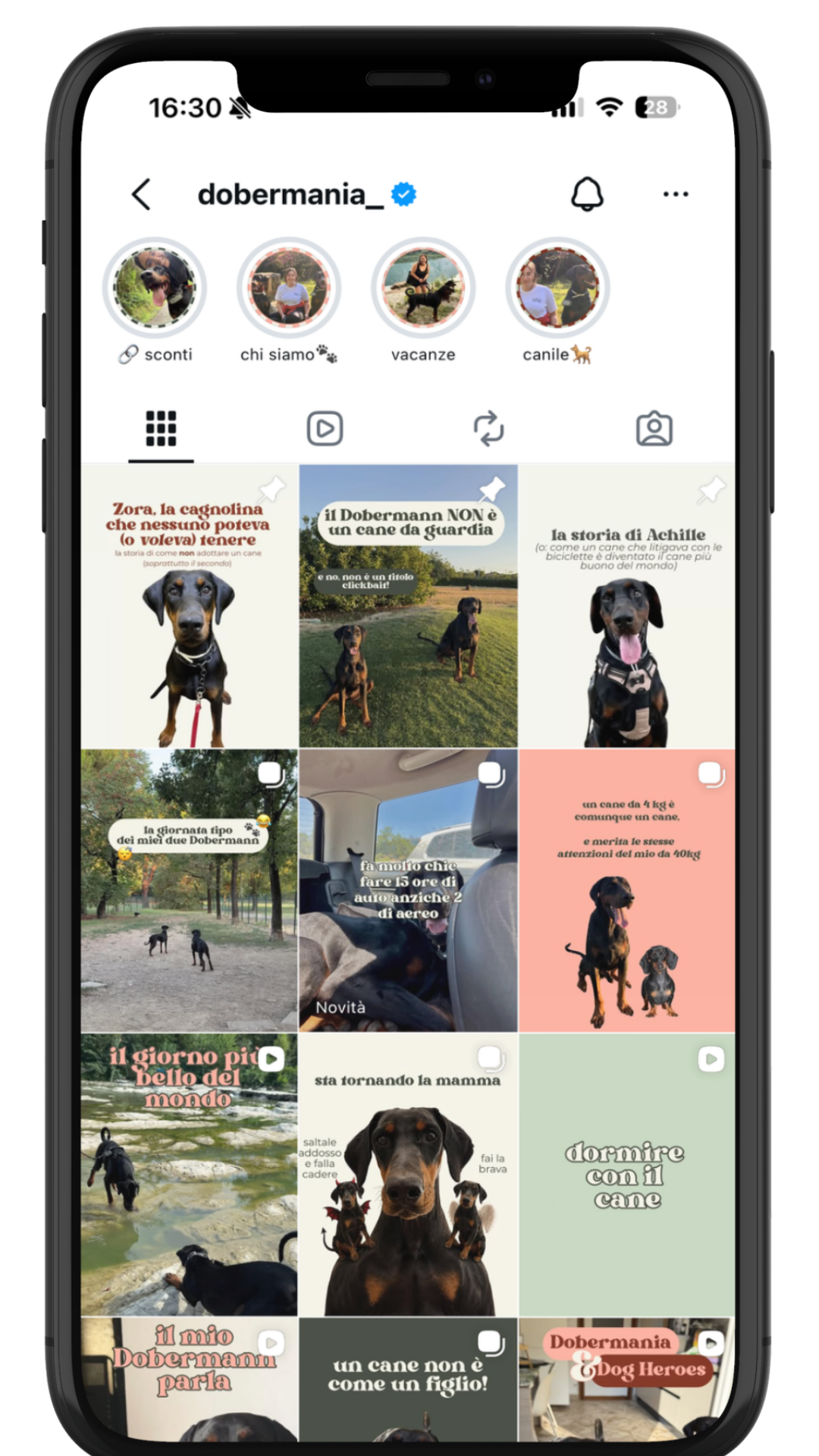 Instagram profile page named 'dobermania_' showing highlights and posts about Doberman dogs with various images and Italian captions.