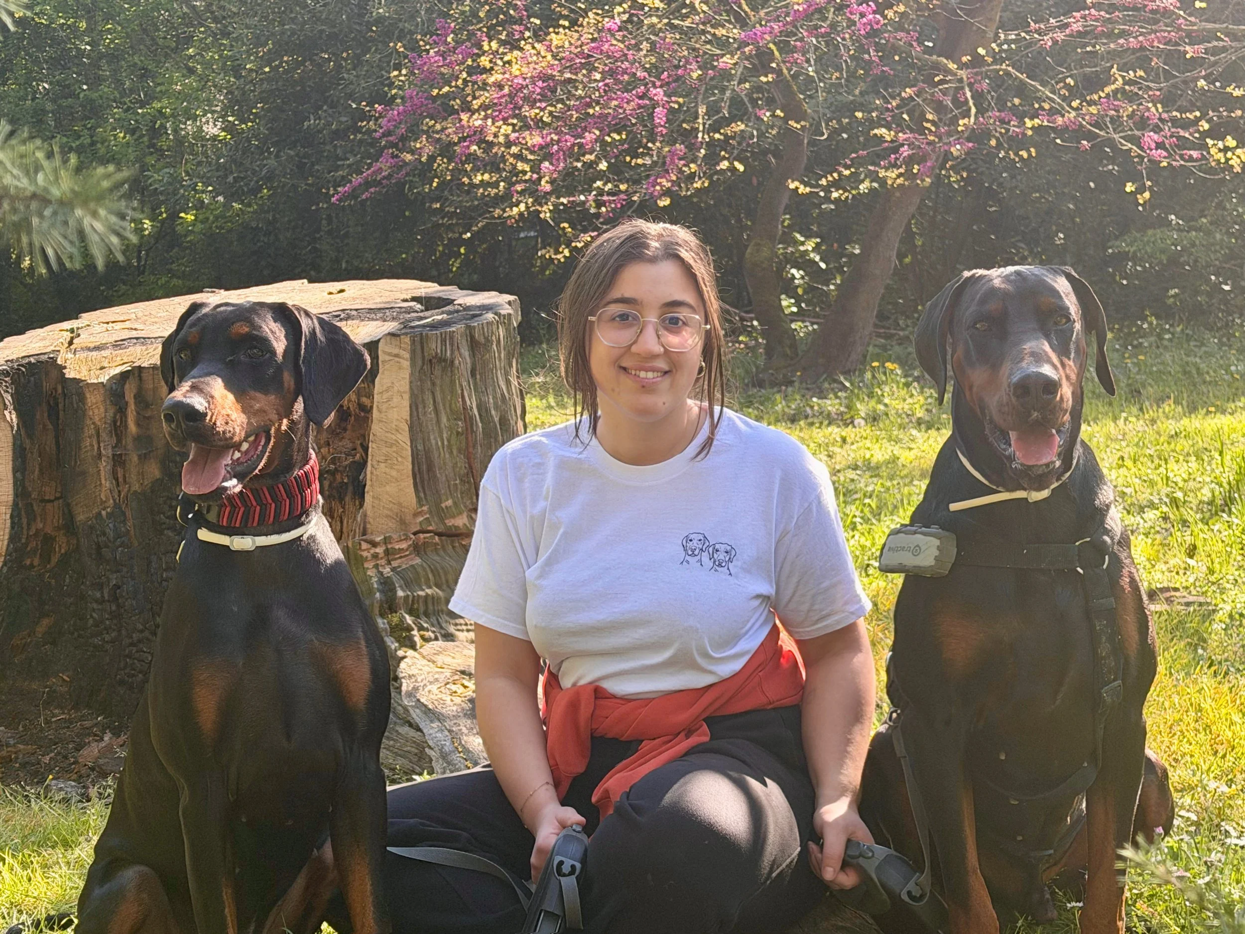 A woman with glasses sitting outdoors with two Doberman dogs, one on each side, in front of a blooming tree with pink and yellow flowers.