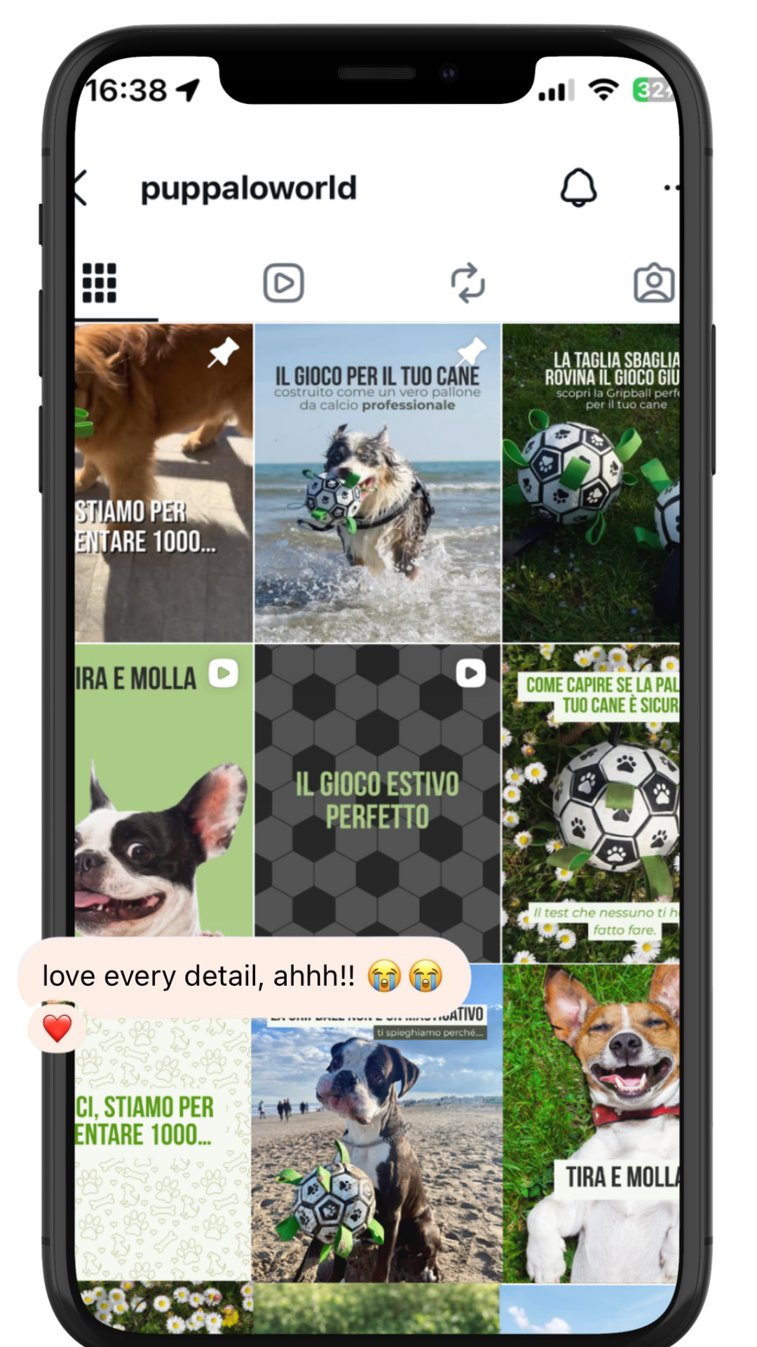A smartphone screen displaying a social media page with dog photos and related content in Italian, including images of dogs at the beach and outdoor settings, as well as text about dog games and activities.