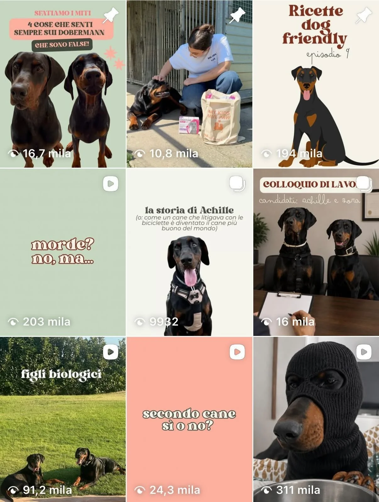 Instagram feed preview for a personal brand — mix of reels and carousel posts with bold typography, built organically to 15k followers