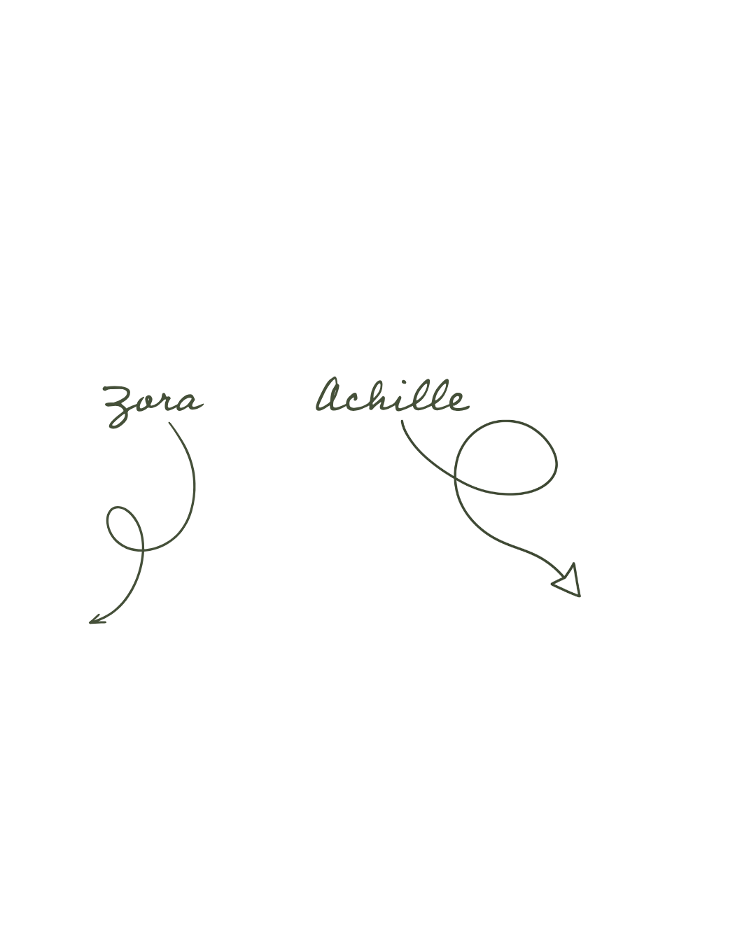 two arrows pointing at two dobermanns with the text "zora" and "achille"