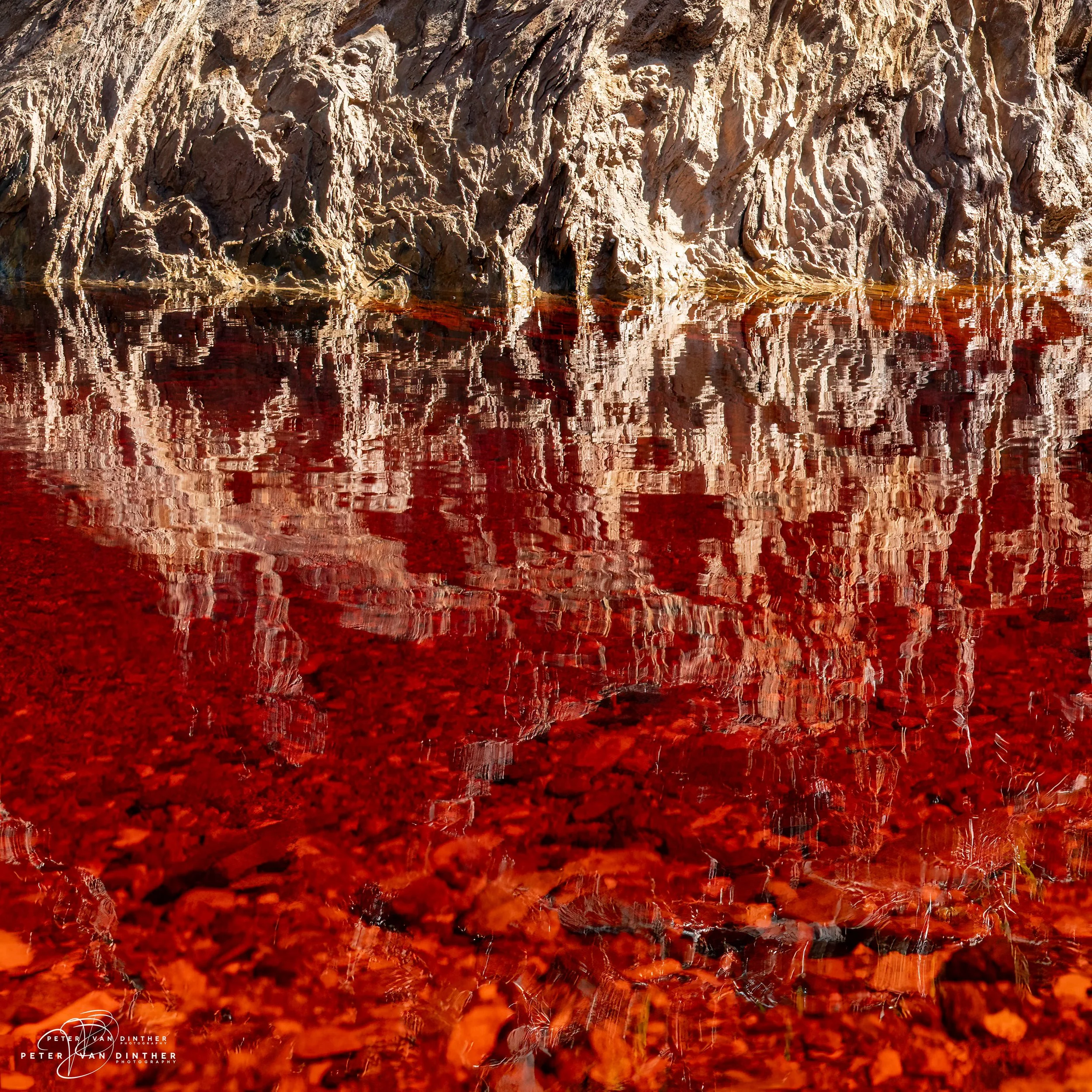 Rio Tinto 2023 Squarespace34.jpg