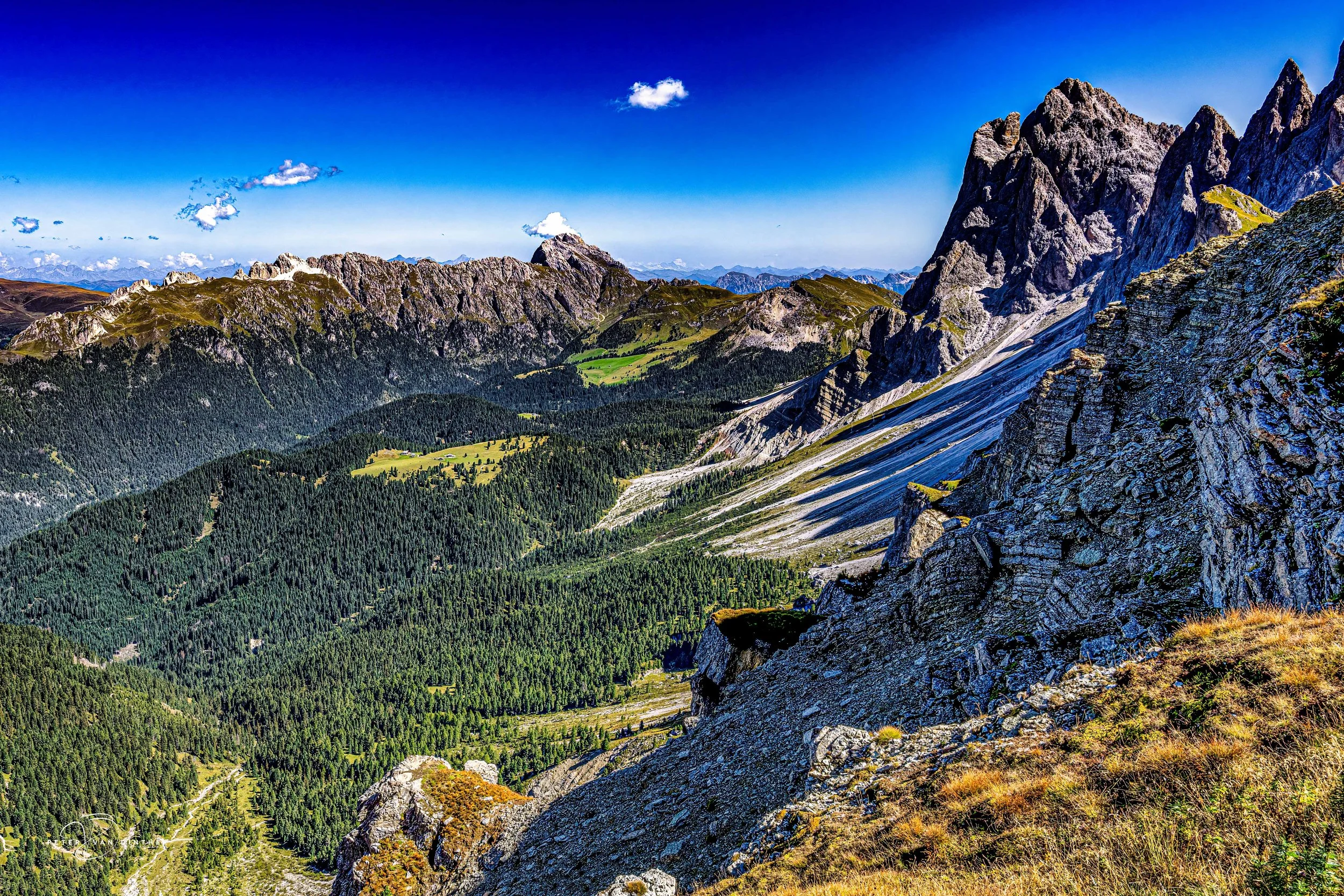 DOLOMITES 2023 Squarespace9.jpg