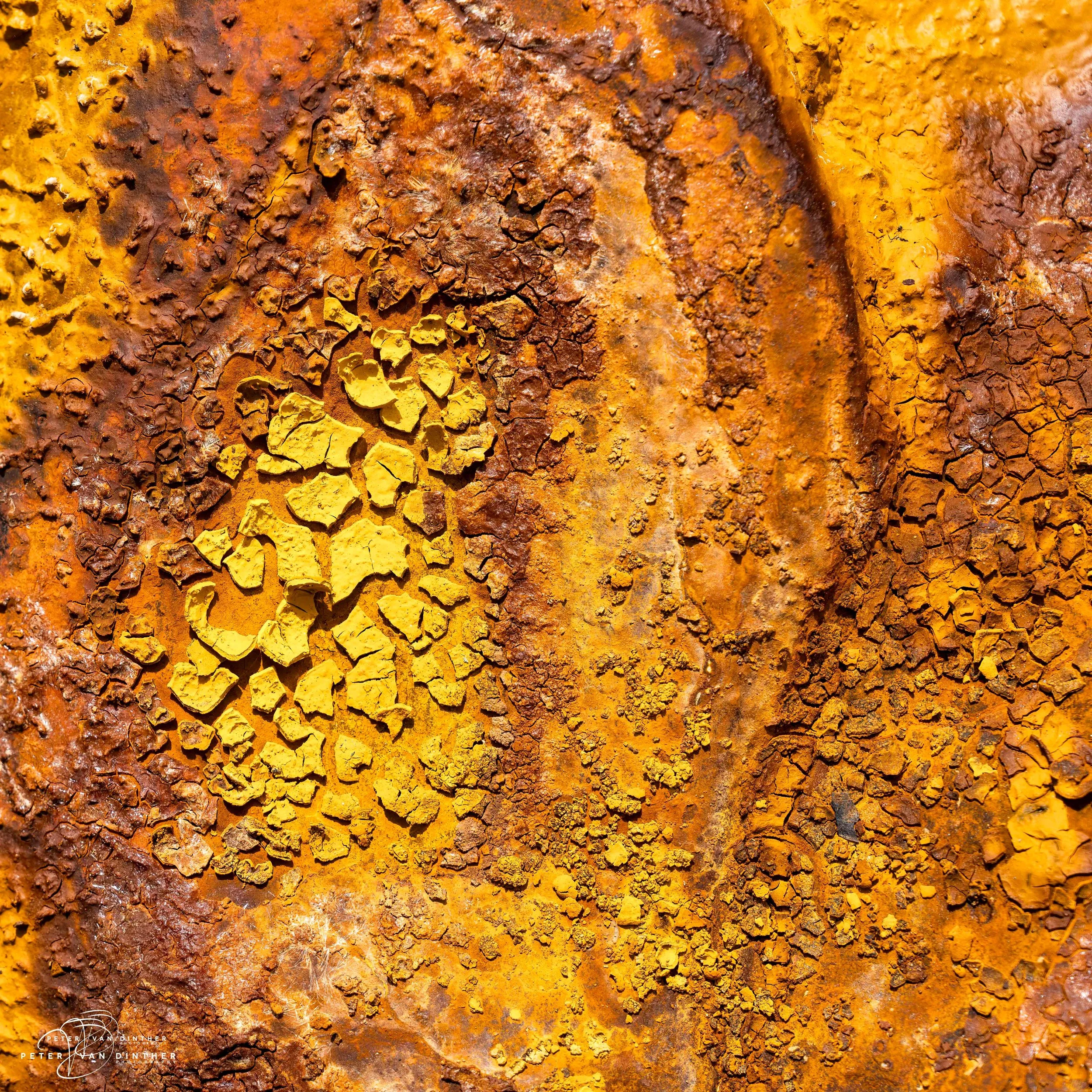 Abstracts Squarespace9.jpg