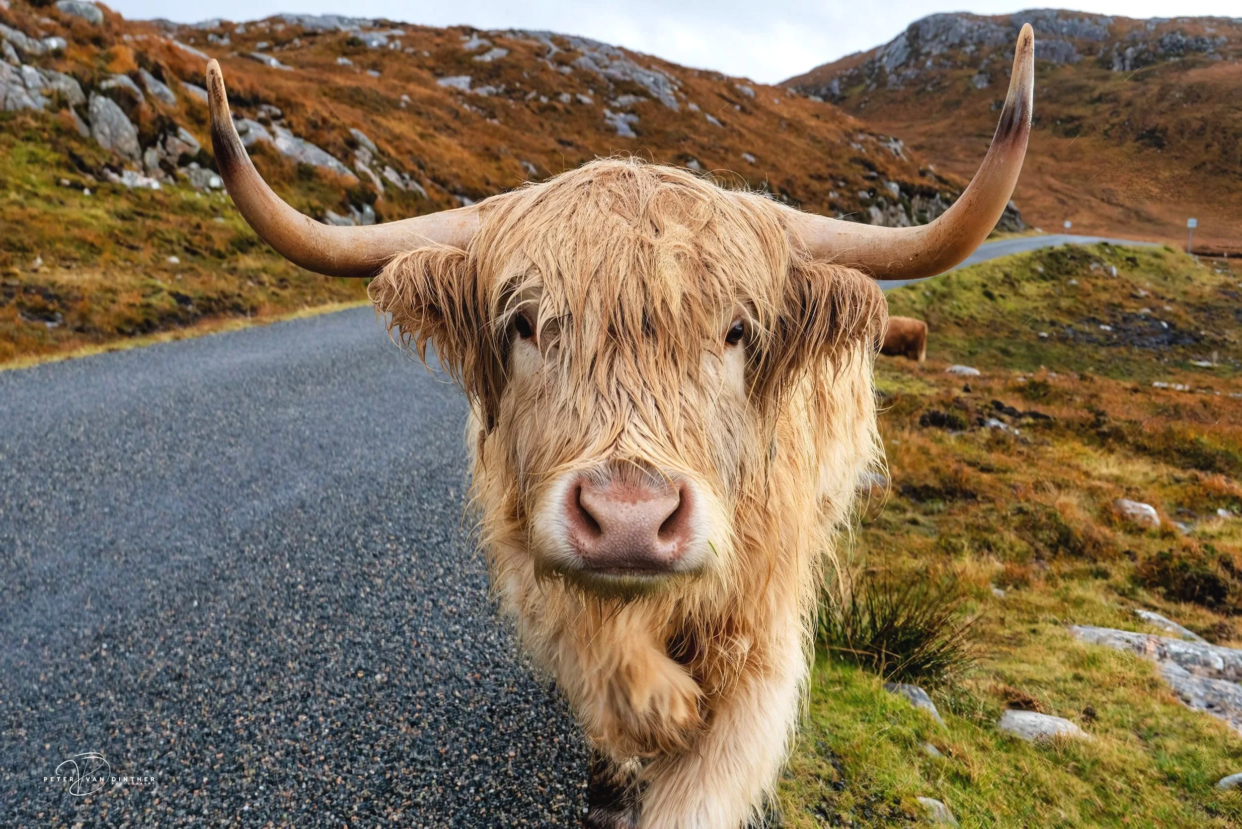 Scotland+2022+Squarespace14.jpg