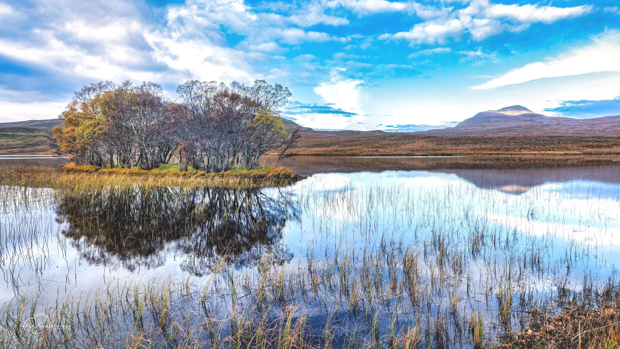 Scotland+2022+Squarespace59.jpg