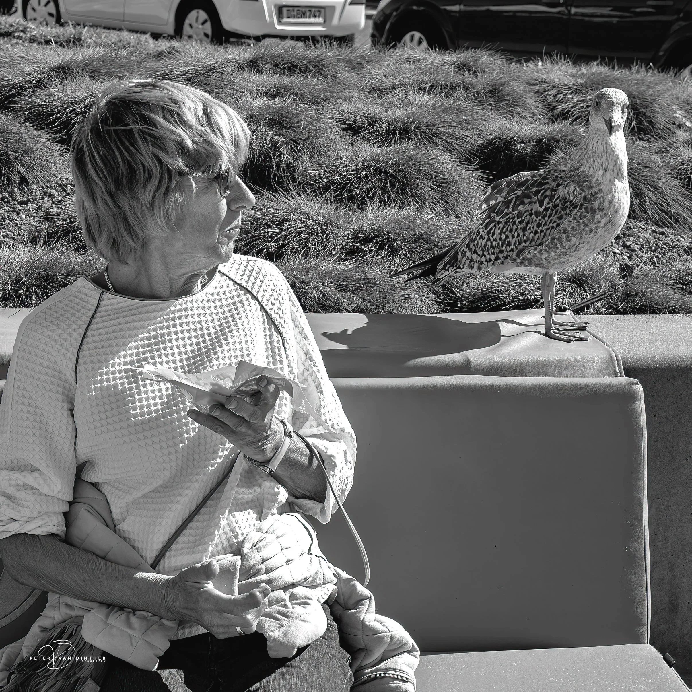 Street+Squarespace15.jpg