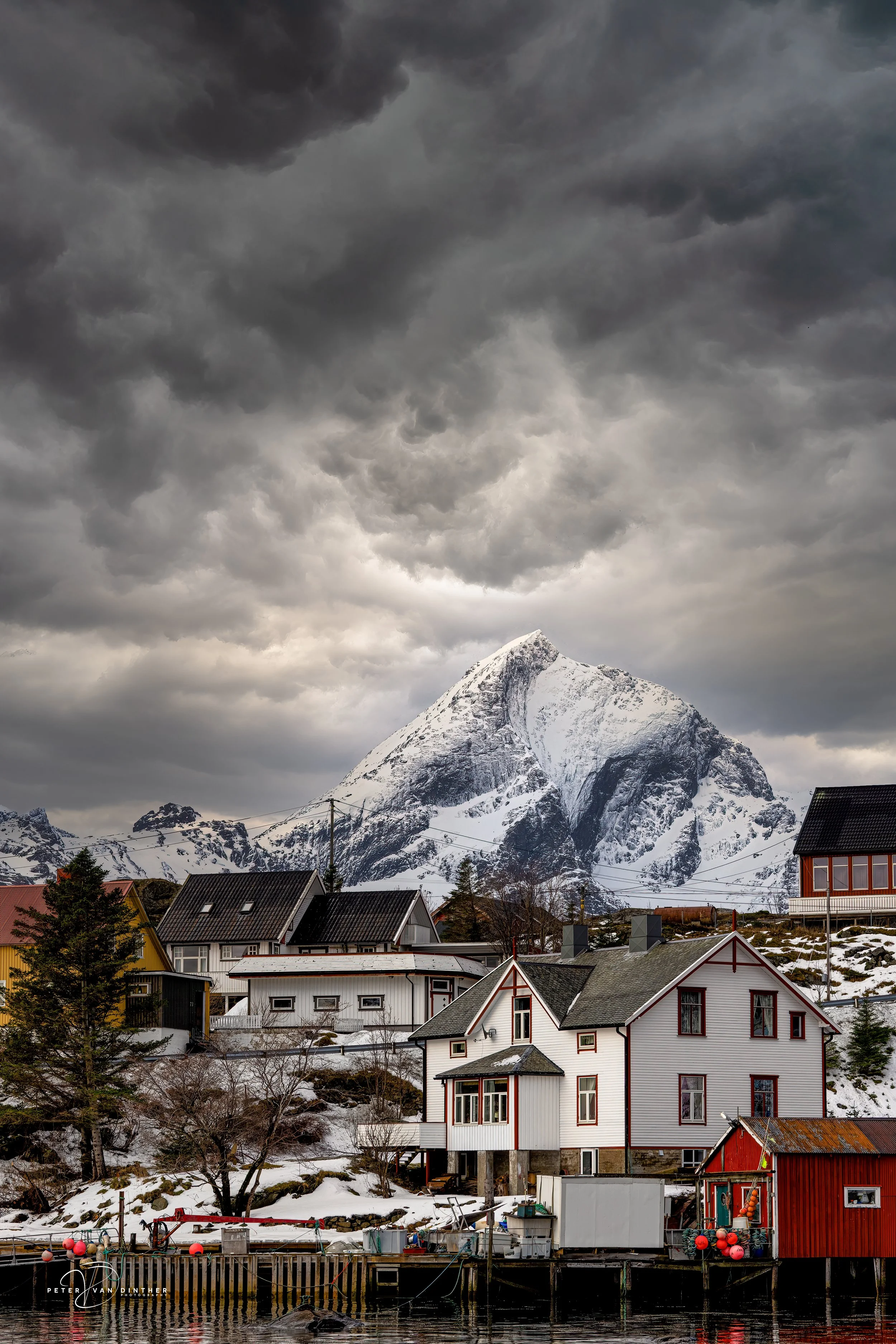 LOFOTEN 2025 Squarespace50.jpg